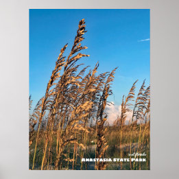 Travel | Florida - Anastasia State Park Sea Oats Poster