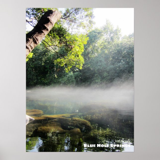 Travel | Florida - Blue Hole Springs Foggy Morning Poster (Front)