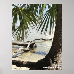 Travel | Florida - Cape San Blas Driftwood Poster
