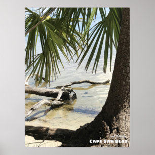 Travel   Florida - Cape San Blas Driftwood Poster