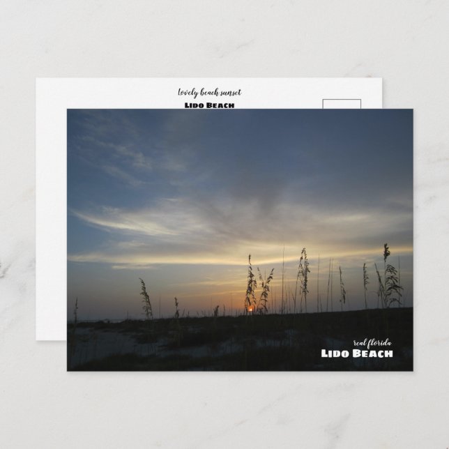 Travel | Florida - Lido Beach Sunset Postcard (Front/Back)