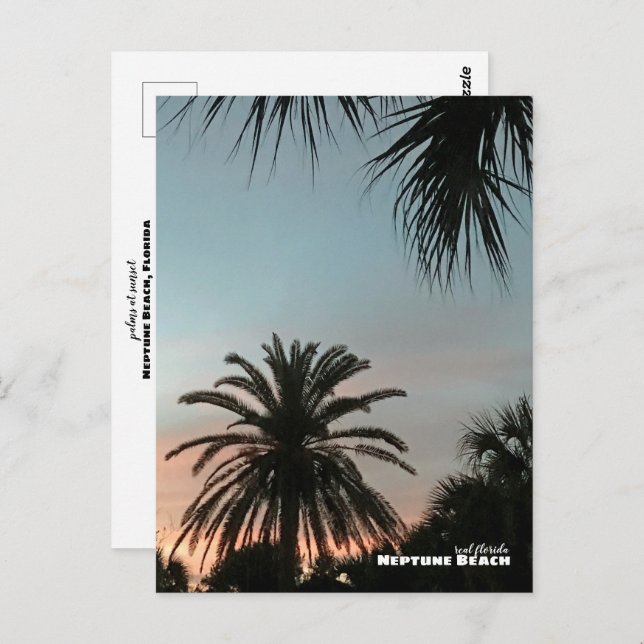 Travel | Florida - Neptune Beach Pink Sunset Palms Postcard (Front/Back)