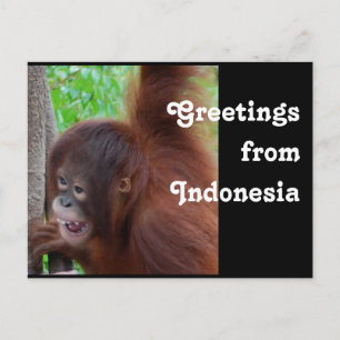 Travel Greetings from Indonesia Postcard