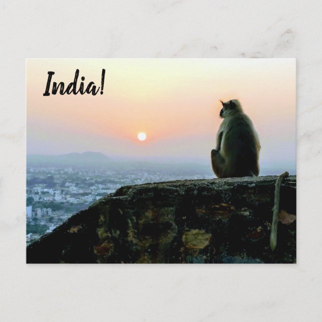 Travel Peaceful Meditation Monkey India Sunset Postcard (Front)
