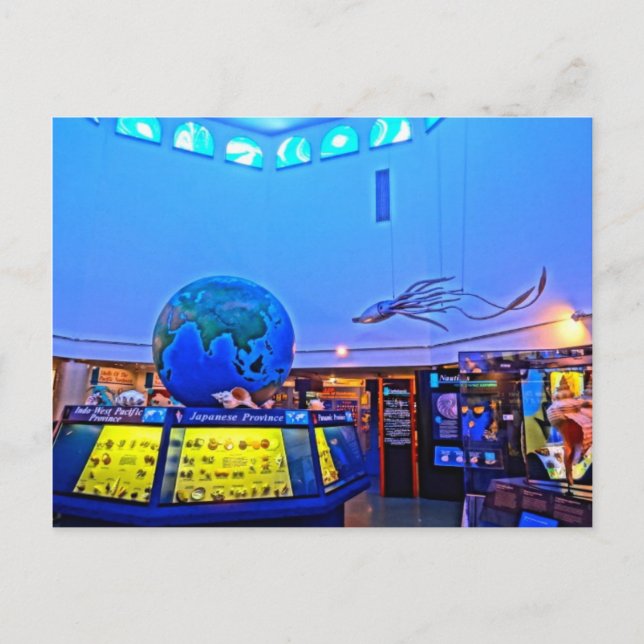 Travel Photography Sanibel Island Florida Shells Postcard (Front)