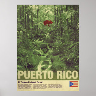 Travel to Puerto Rico: El Yunque Poster