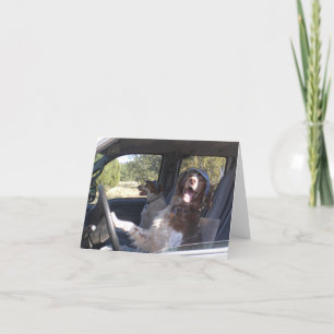 TRAVELING BRITTANYS CARD