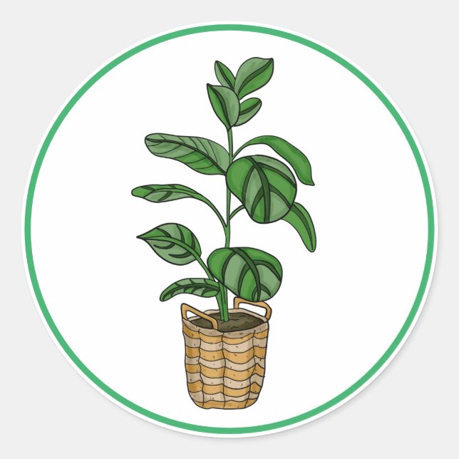 Traveller's Palm Hand Drawn Houseplant Art    Classic Round Sticker (Front)