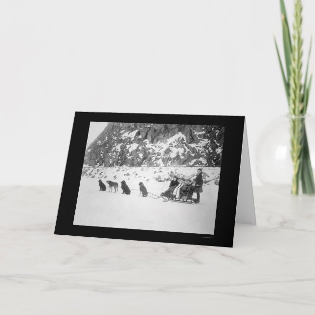 Travelling by Dog Sled Canada 1912 Card (Front)