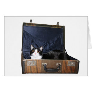 Travelling cat card