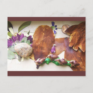 Travelling Ducks Postcard