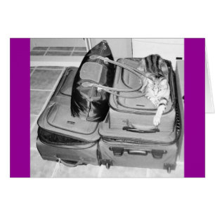 Travelling Indigo Pencil