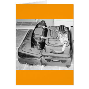 Travelling Indigo Pencil