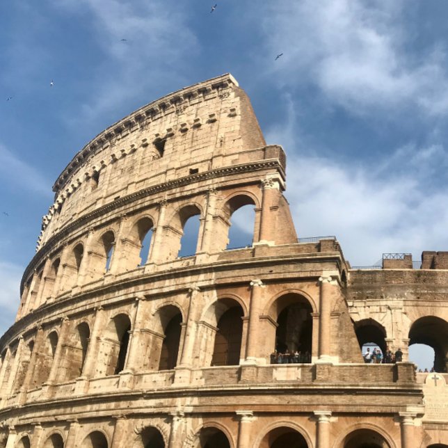 Travelling Water Bottle  (Creator Uploaded)