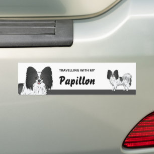 Travelling With My Black And White Papillon Dog Bumper Sticker