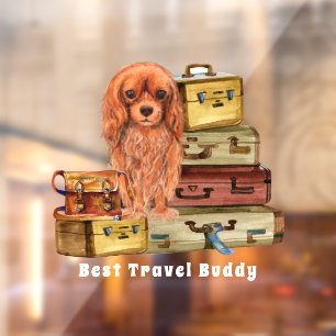 Travelling with my Ruby Cavalier King Charles  