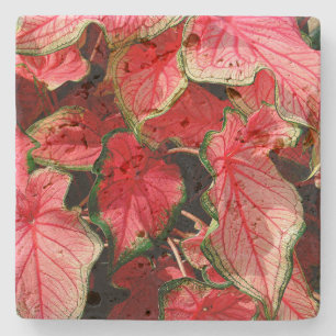 TRAVERTINE STONE COASTERS, "CALADIUM" COASTER