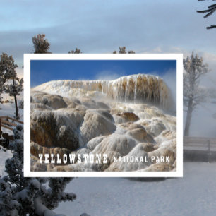 Travertine Terraces Mammoth Hot Springs Postcard