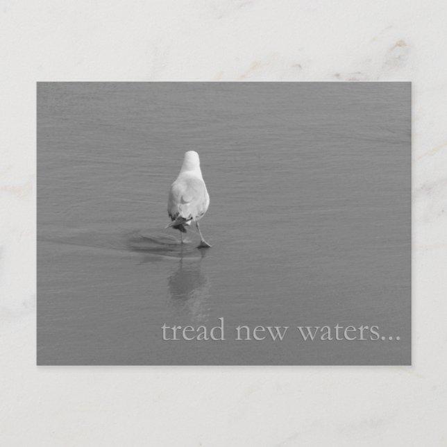 Tread new waters postcard (Front)