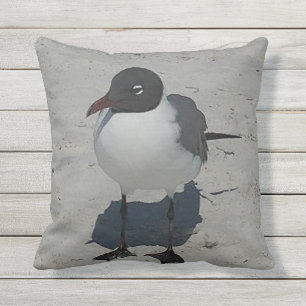 Treasure Island Florida Gull Outdoor Cushion