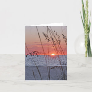 Treasure Island Sunset Note Card