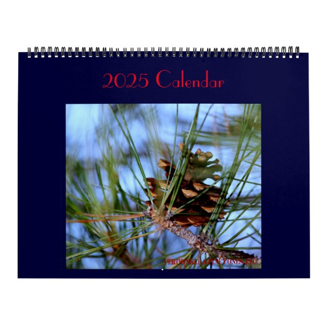 Treasures found around everyday. Calendar (Cover)