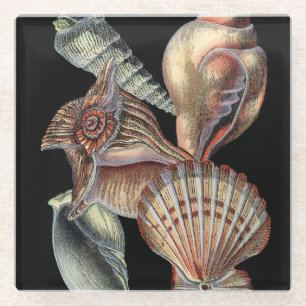 Treasures of the Sea Glass Coaster