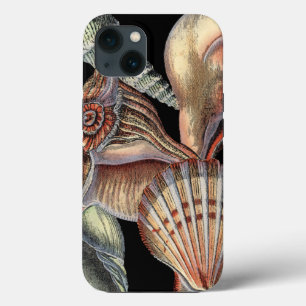 Treasures of the Sea iPhone 13 Case