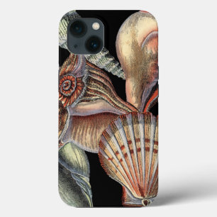 Treasures of the Sea iPhone 13 Case