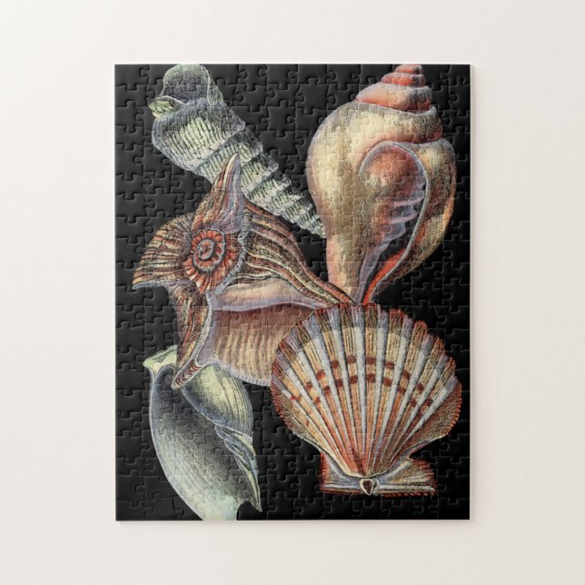 Treasures of the Sea Jigsaw Puzzle (Vertical)