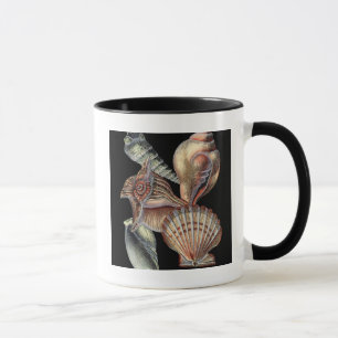 Treasures of the Sea Mug
