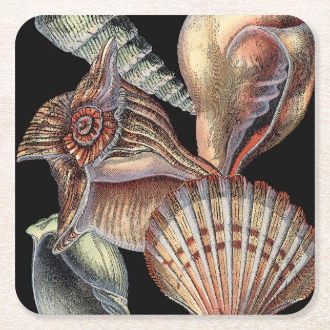 Treasures of the Sea Square Paper Coaster (Front)