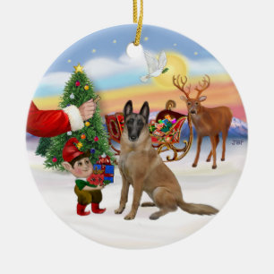 Treat - Belgian Malinois Ceramic Tree Decoration
