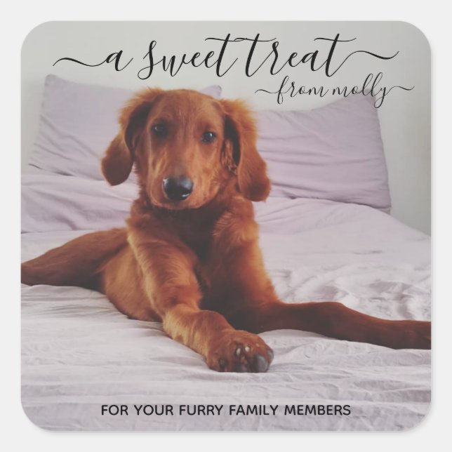 Treat Favour Stickers (Front)