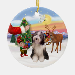 Treat for a Bearded Collie (#4) Ceramic Tree Decoration