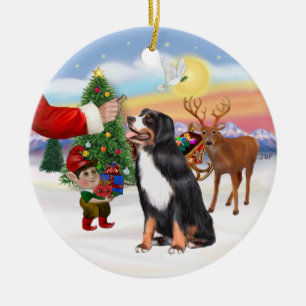 Treat for a Bernese Mountain Dog Ceramic Tree Decoration