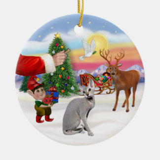 Treat for a Peterbald cat Ceramic Tree Decoration