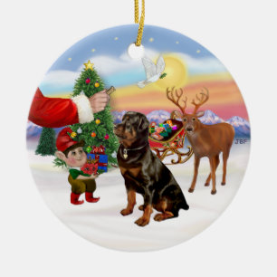 Treat for a Rottweiler Ceramic Tree Decoration