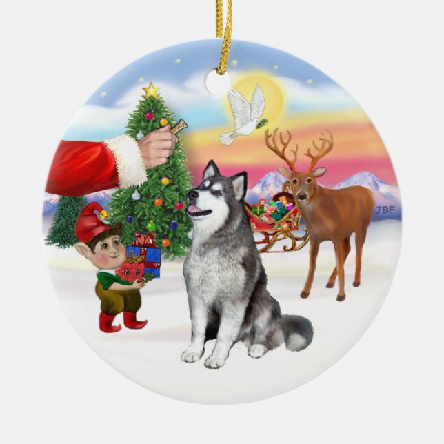Treat for an Alaskan Malamute Ceramic Tree Decoration (Front)