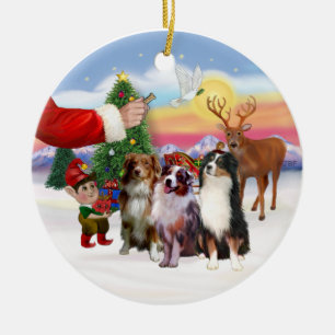Treat for Three Australian Shepherds Ceramic Tree Decoration
