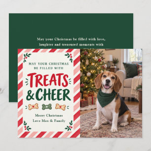 Treats & Cheer Christmas Dog Photo Holiday Card