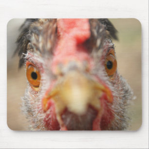 Treats? Mouse Pad
