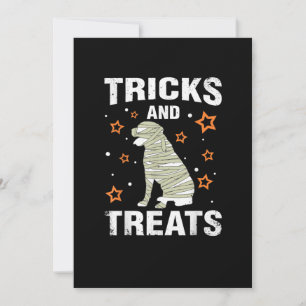Treats _ Tricks Rottweiler Halloween Costume Mummy Announcement