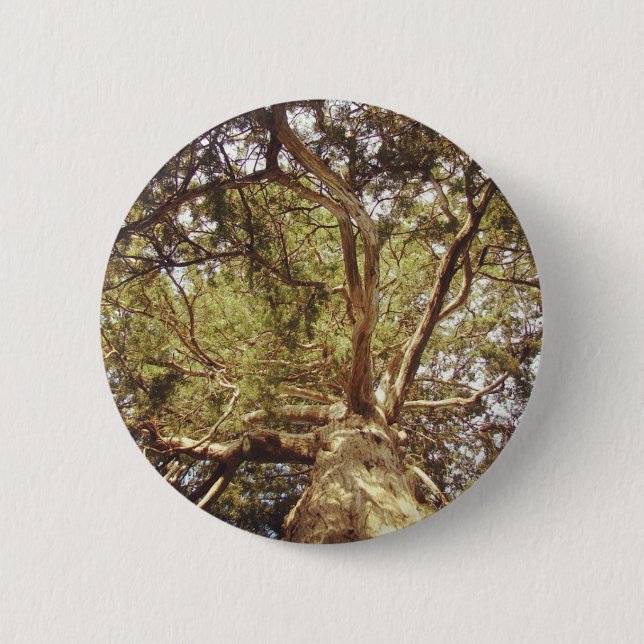 Tree 6 Cm Round Badge (Front)