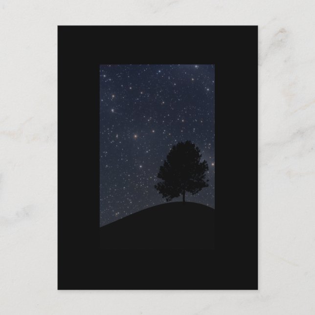 Tree against the starry night sky postcard (Front)