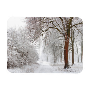 Tree Alley Stupinigi Parc, Italy Magnet