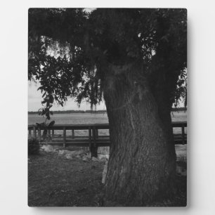 Tree and Dock by the Water Plaque