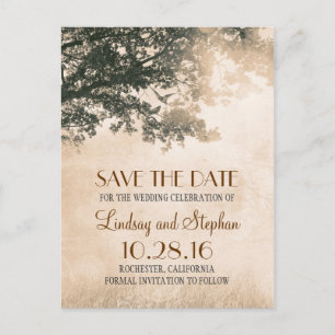 tree and love birds rustic vintage save the date announcement postcard