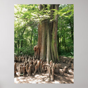 Tree and roots poster