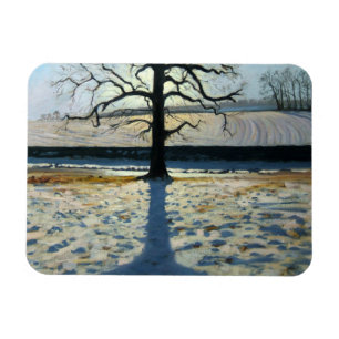 Tree and Shadow Calke Abbey Derbyshire Magnet